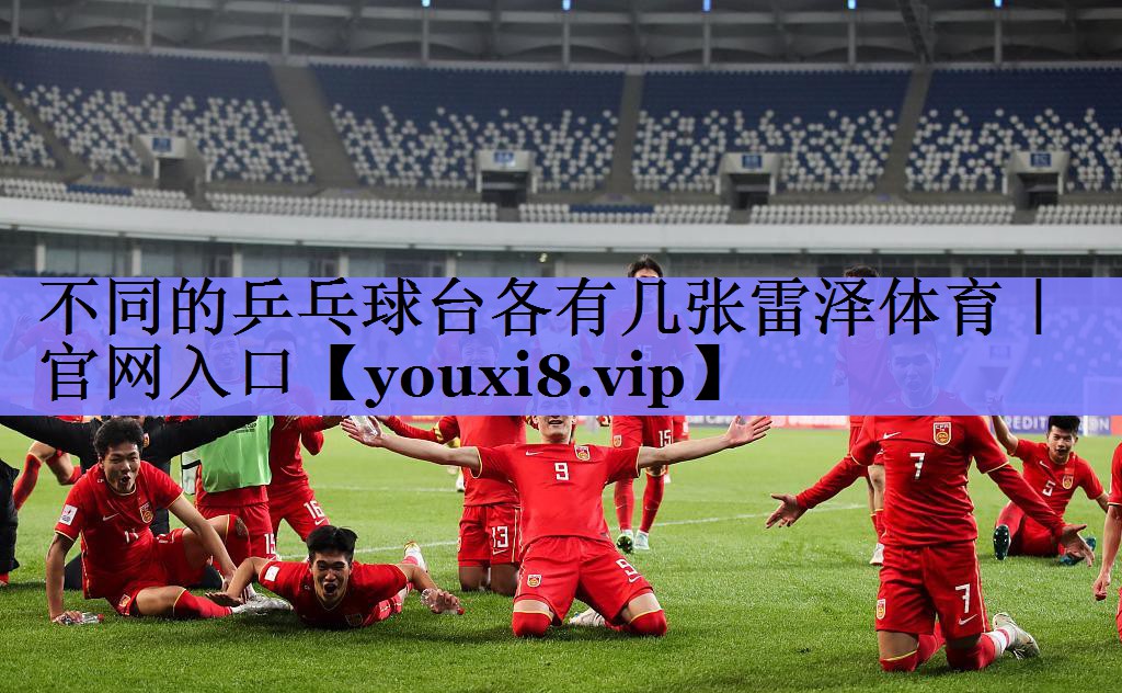 不同的乒乓球台各有几张雷泽体育｜官网入口