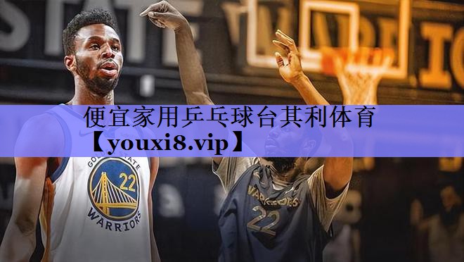 便宜家用乒乓球台其利体育