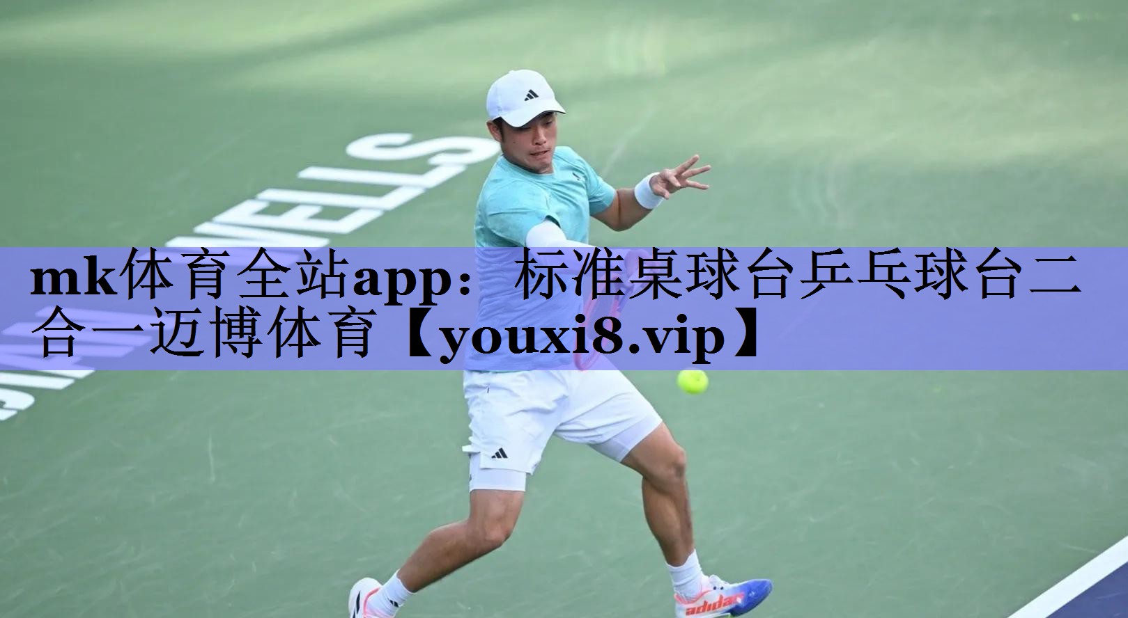 mk体育全站app：标准桌球台乒乓球台二合一迈博体育