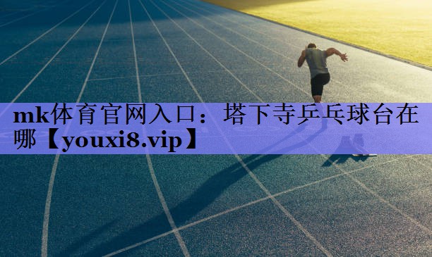 塔下寺乒乓球台在哪