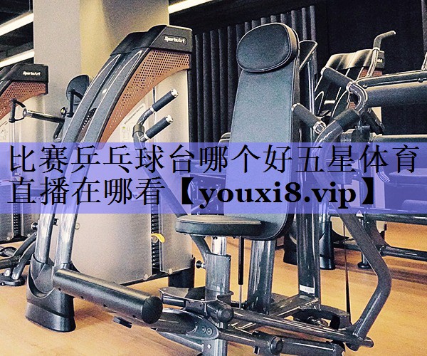 比赛乒乓球台哪个好五星体育直播在哪看