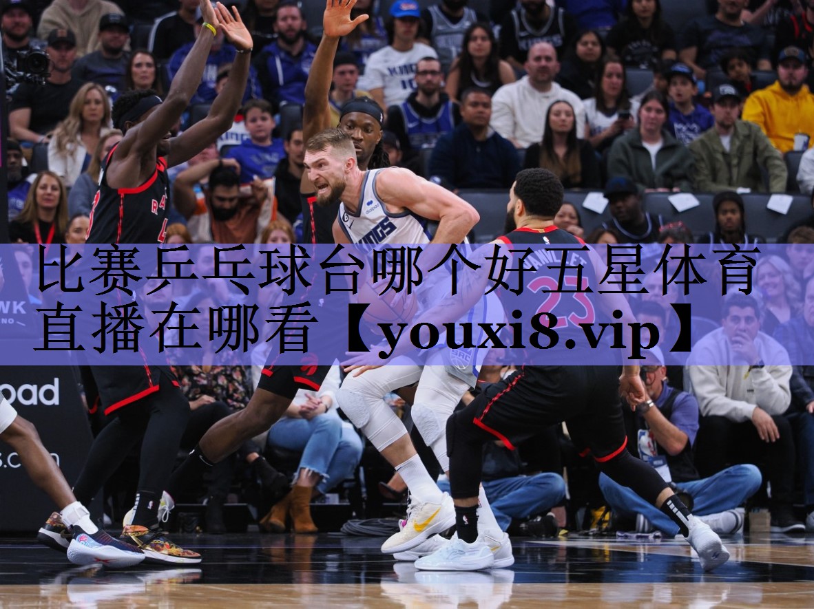 比赛乒乓球台哪个好五星体育直播在哪看