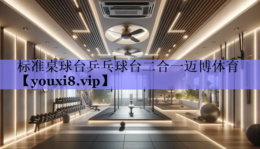 标准桌球台乒乓球台二合一迈博体育