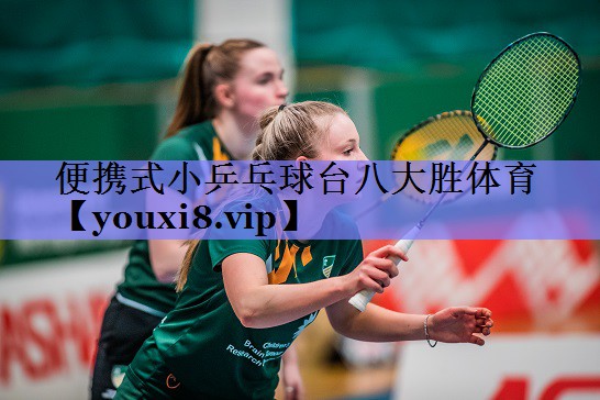 便携式小乒乓球台八大胜体育