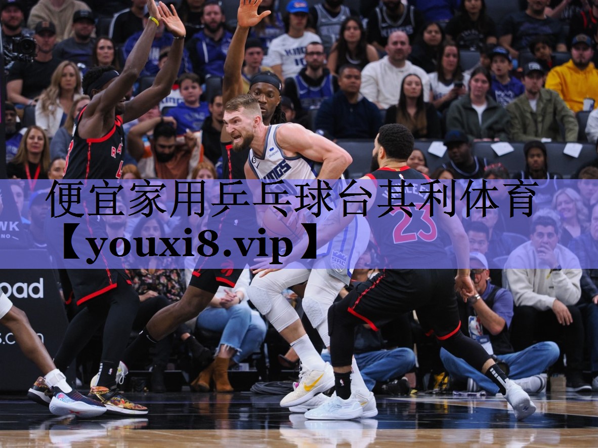 便宜家用乒乓球台其利体育
