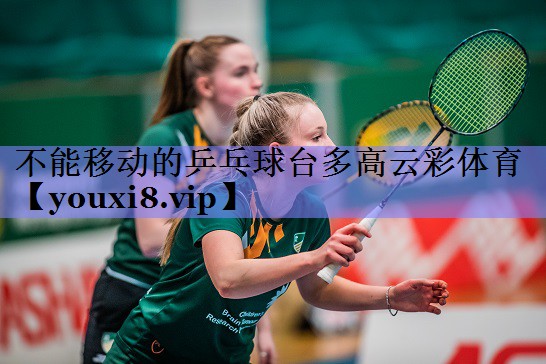 不能移动的乒乓球台多高云彩体育