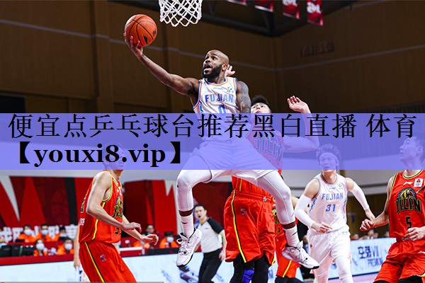 便宜点乒乓球台推荐黑白直播 体育
