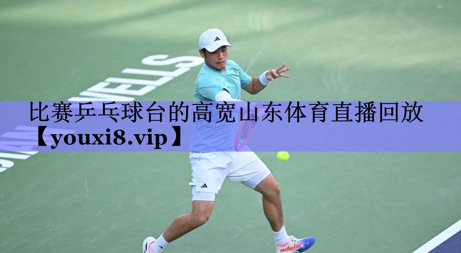 比赛乒乓球台的高宽山东体育直播回放
