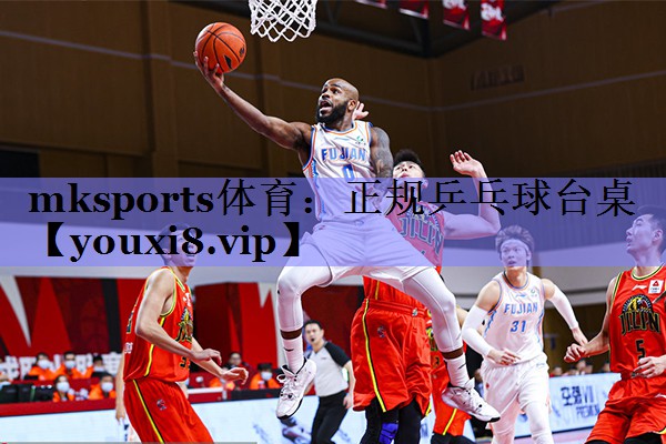 正规乒乓球台桌 正规乒乓球台桌