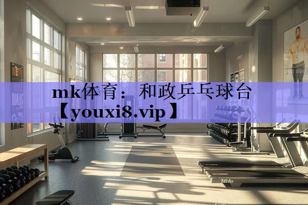 和政乒乓球台 和政乒乓球台