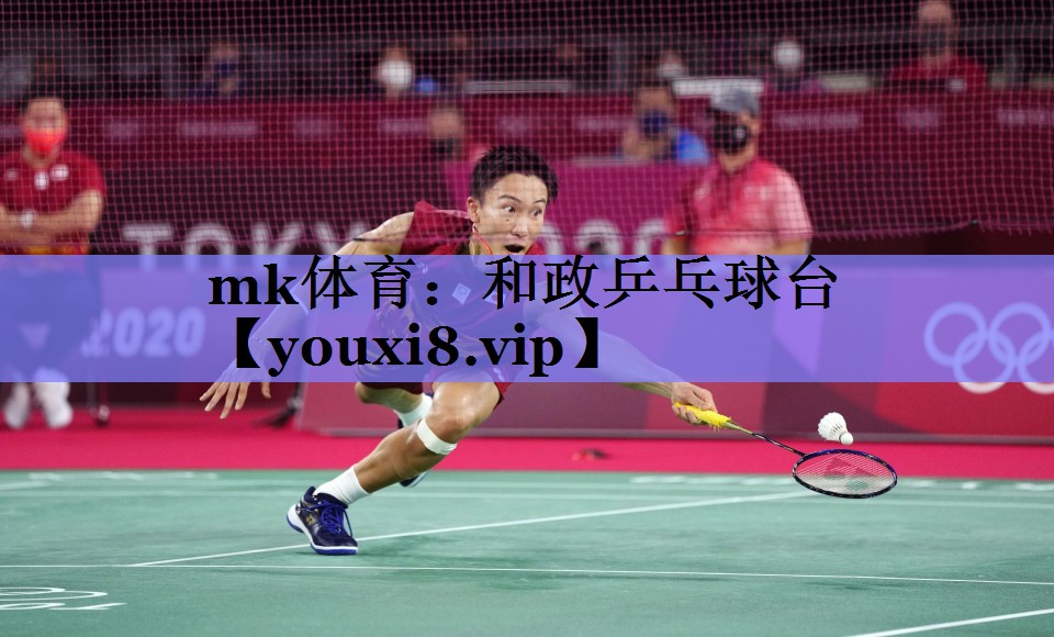 和政乒乓球台 和政乒乓球台